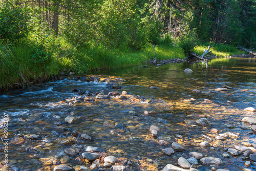 Rocky Mountain National Park shaded landscape of a stream, grass and trees