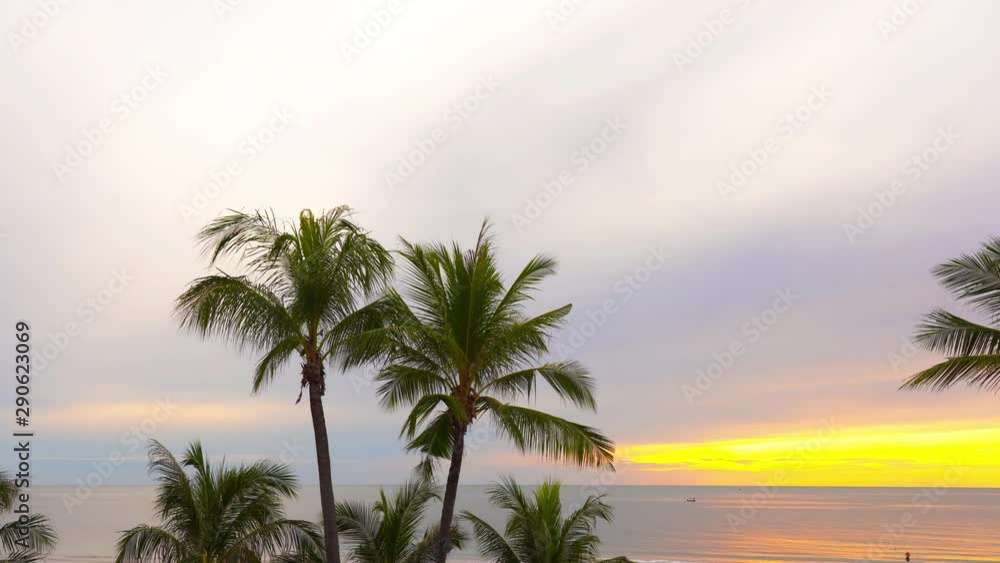 Pink and yellow sunsets between a frame of palm trees. Pink and yellow sunsets between a frame of palm trees.