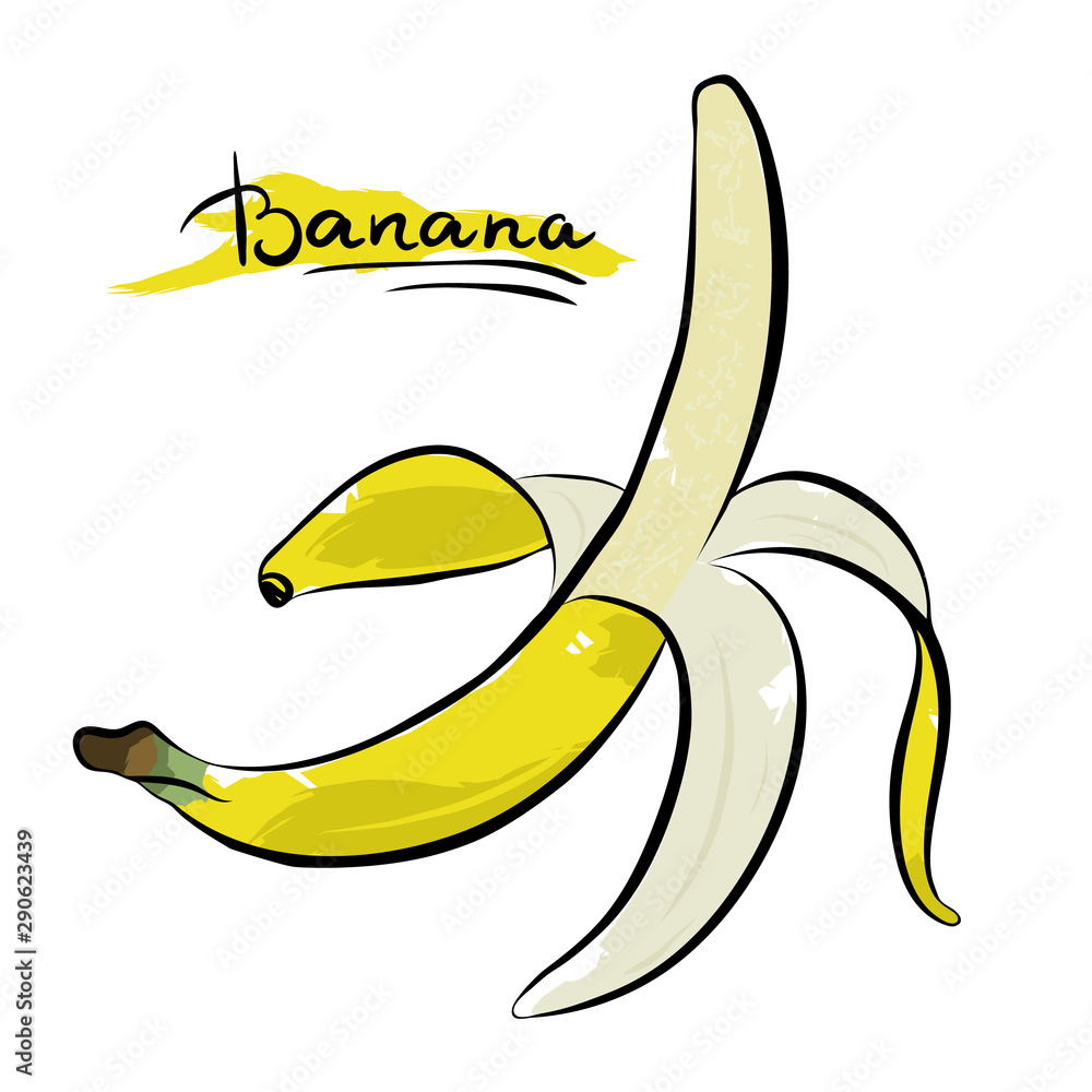 Banana fresh fruit on white background. Vector illustration. Banana fresh fruit on white background. Vector illustration.
