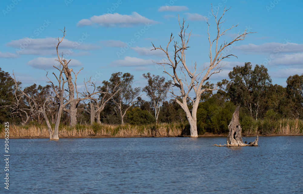Wetland habitat at Warren in outback New South Wales Wetland habitat at Warren in outback New South Wales
