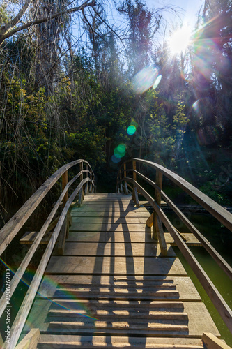 Fototapeta Naklejka Na Ścianę i Meble -  A wooden Bridge at the Botanical gardens of Viña del Mar, Chile.
