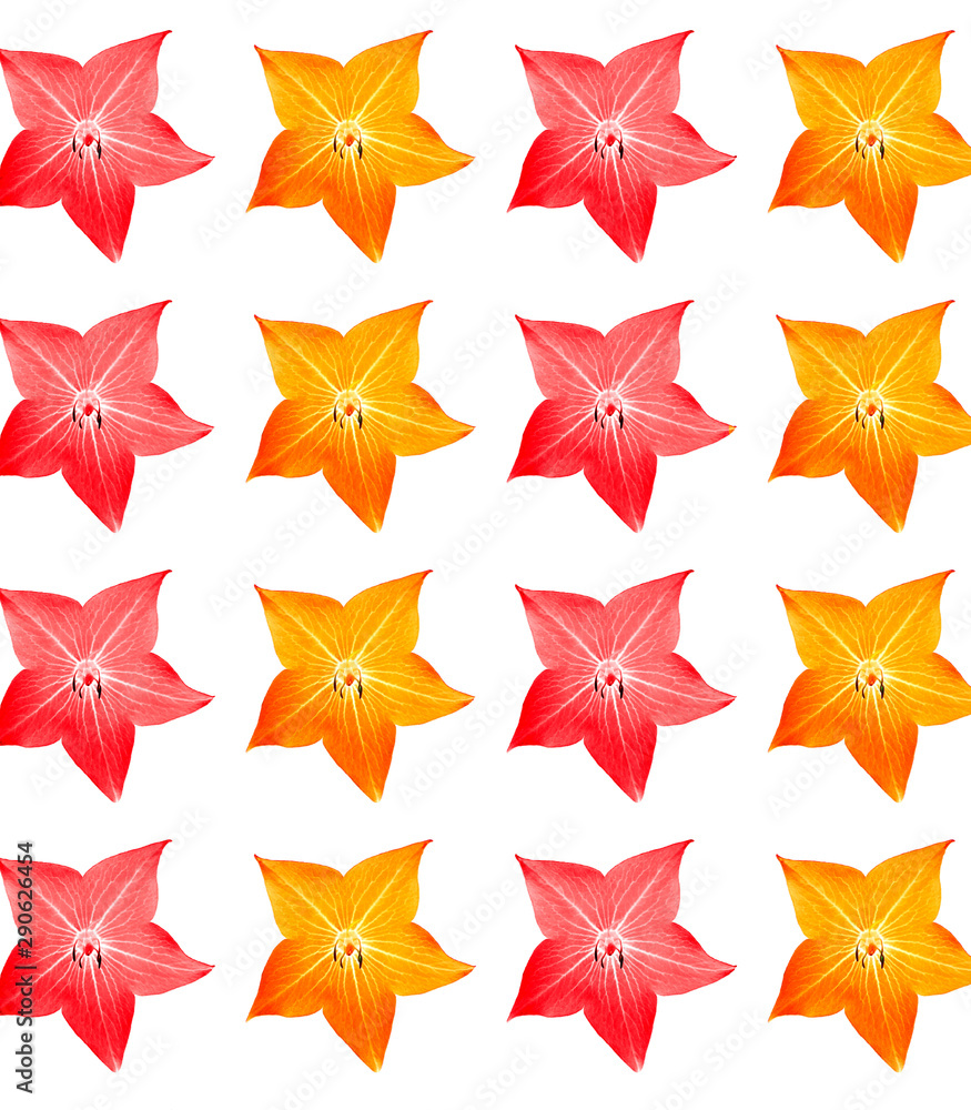 Fototapeta premium Fancy Flower seamless pattern