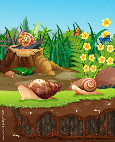 Nature scene with snails crawling in garden