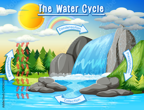 Water cycle process on Earth - Scientific