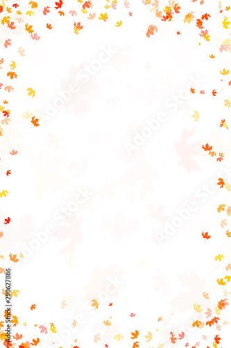 Multi colored autumn leaves background