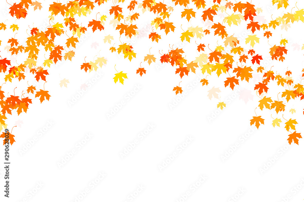 Multi colored autumn leaves on white background Multi colored autumn leaves on white background
