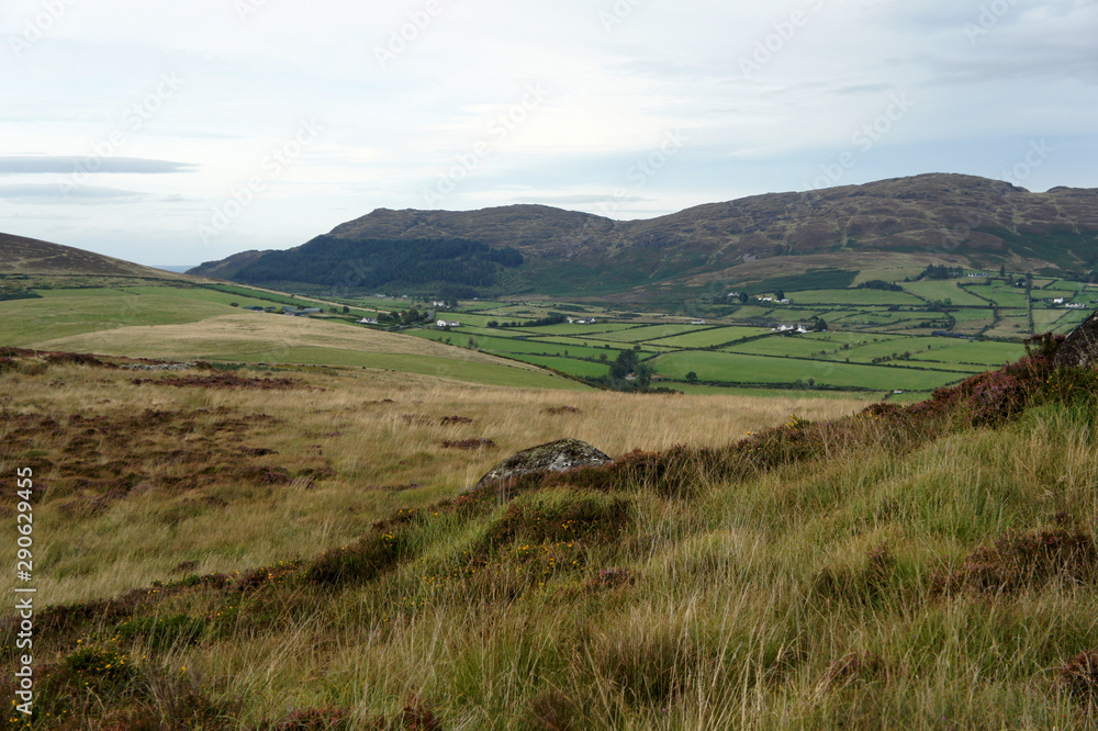 Fototapeta premium Landscapes of Ireland.Hilly green valley on the Cooley Peninsula.