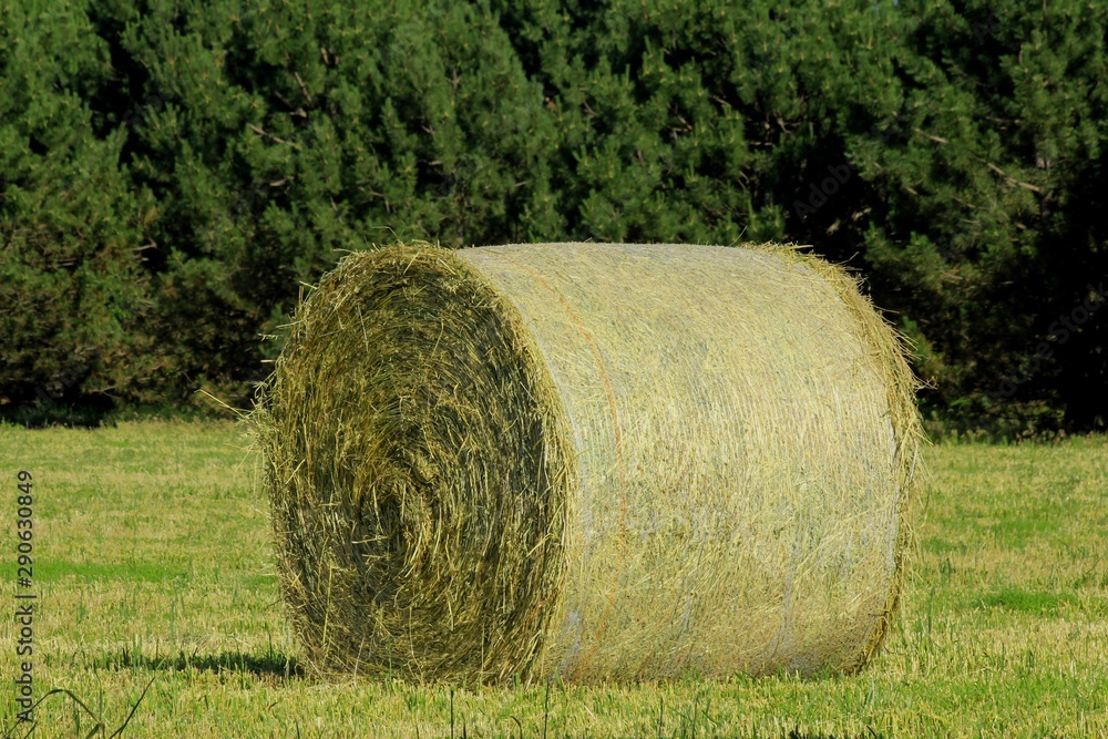 Closeup of a Round Bale of Hay in Kansas