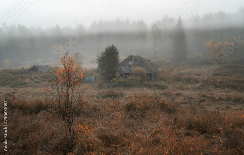 autumn landscape with house in fog