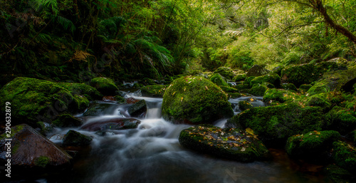 Fototapeta Naklejka Na Ścianę i Meble -  Mossy Rocks in Flowing Stream New Zealand