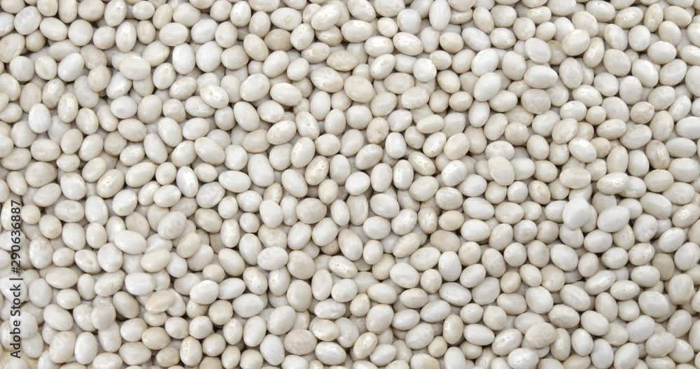 White kidney beans organic top view texture , Protein healthy food, HD 1920 × 1080 - video footage. White kidney beans organic top view texture , Protein healthy food, HD 1920 × 1080 - video footage.