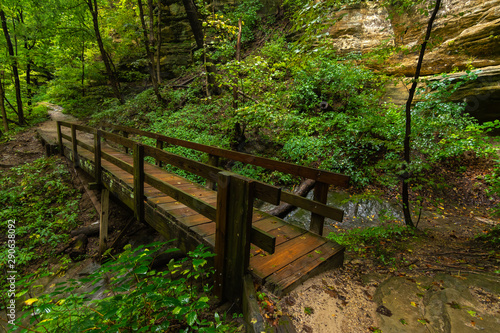 Wooden pathway