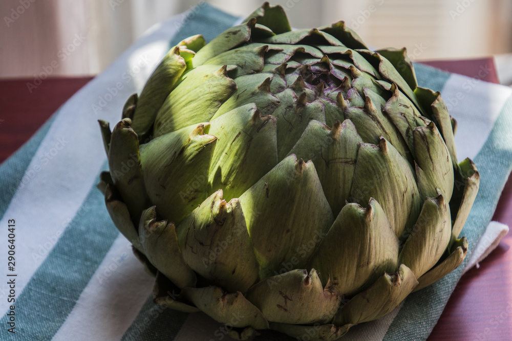 Obraz premium Artichoke