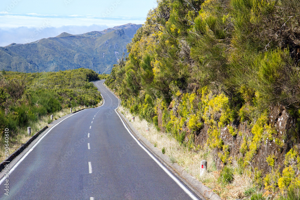 Road in Paul da Serra in Madeira