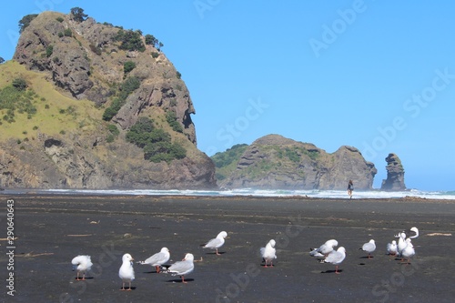 Holidays in Piha Beach, Aotearoa / New Zealand.