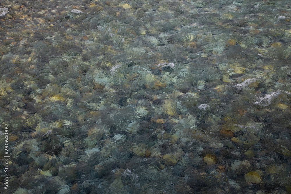 Fototapeta premium 澄んだ川の流れ