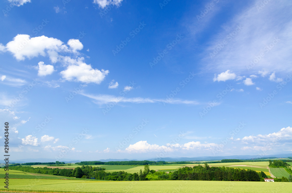 Obraz premium 北海道 美瑛 青空と穀倉地帯