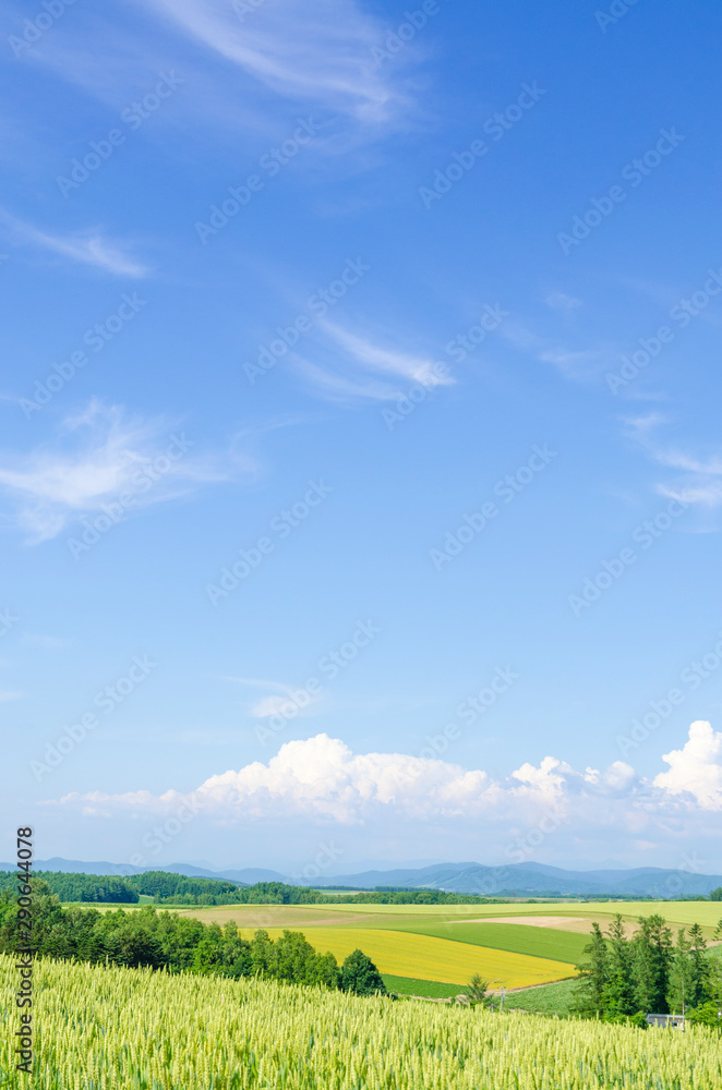 北海道　美瑛　青空と穀倉地帯