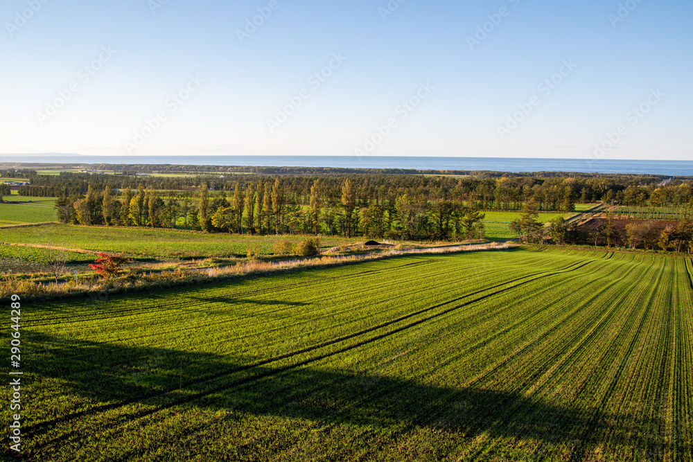 秋の夕方の斜里町の畑とオホーツク海（北海道・斜里町）