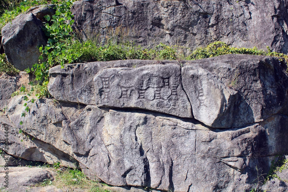 Fototapeta premium 암각화