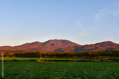 Bild auf Leinwand 秋の夕方の朱色に染まる知床・海別岳（北海道・斜里町）