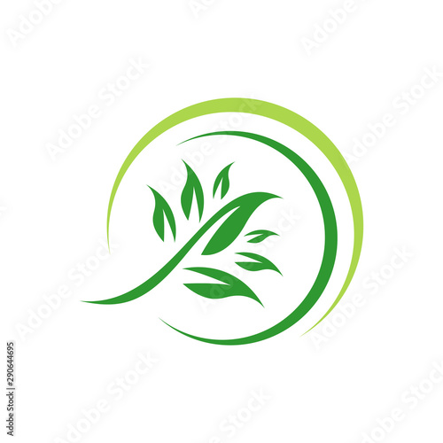 green leaf eco friendly logo design vector icon illustrations