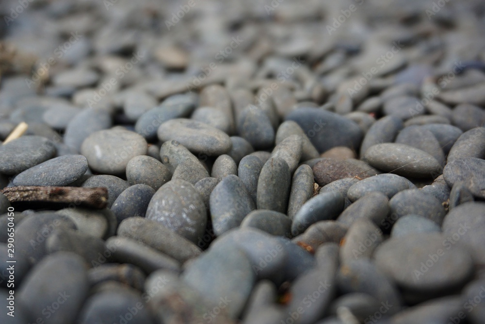 Stones in the Lawn, Macro