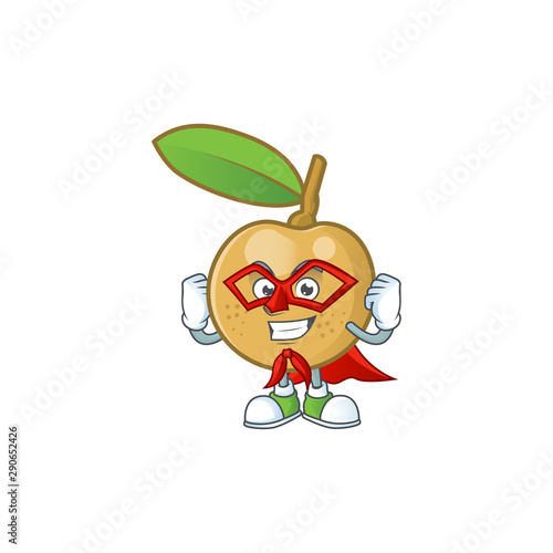 Super hero cute longan fruit cartoon with character mascot.