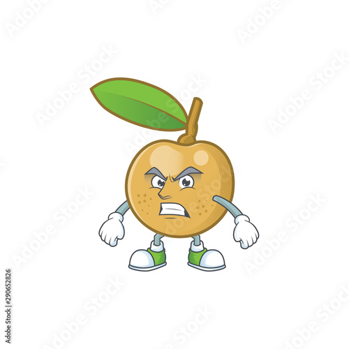 Scream cute longan fruit cartoon with character mascot.