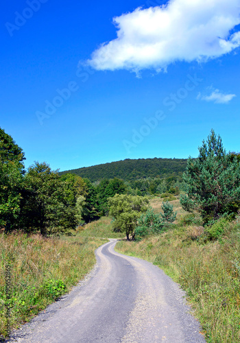 Rural country road in a grassy meadow on a blue sky with white clouds background © Jurek Adamski