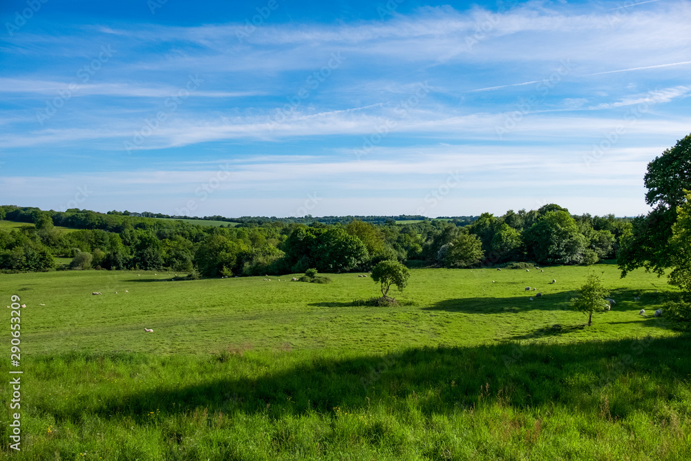 Senlac Hill has a historical background filled with war and change. Now lies just a lush green grass field filled with trees and sheep on a partially sunny day in England, UK.