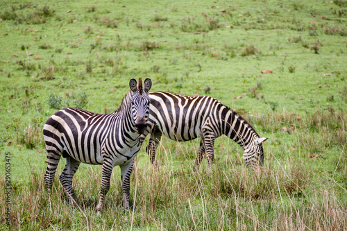 Tanzania  East Africa