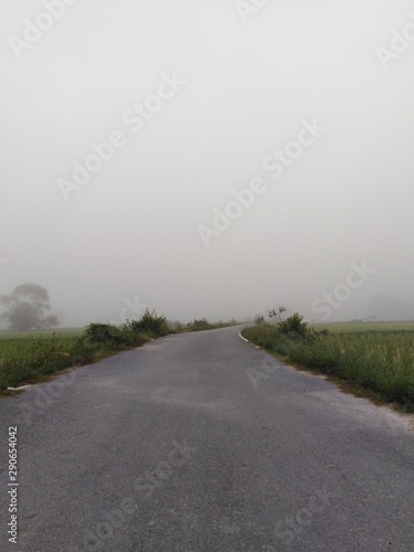 road in the countryside