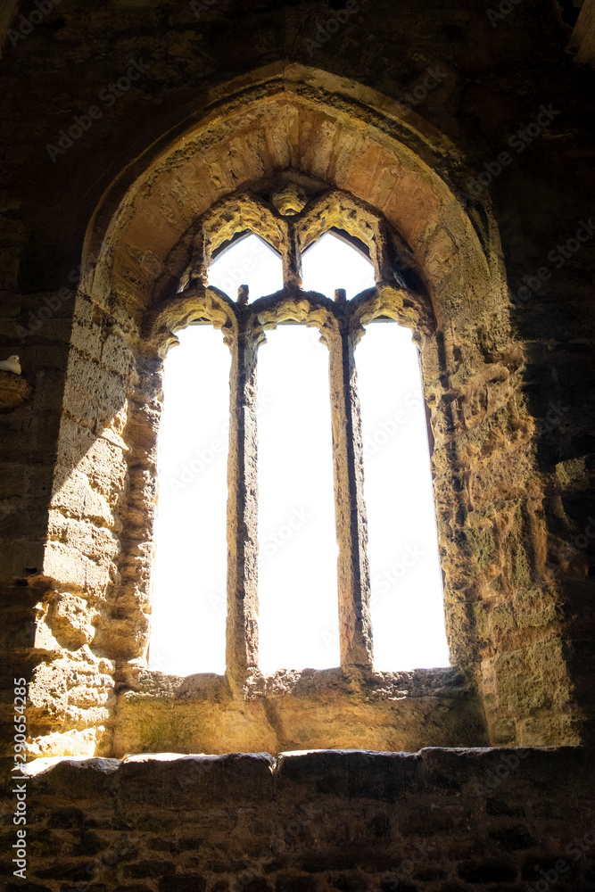 A white dove sits quietly in the corner while the sun shines brightly through the Medieval style windows of this old and abandoned chapel of St Catherine in England, UK.