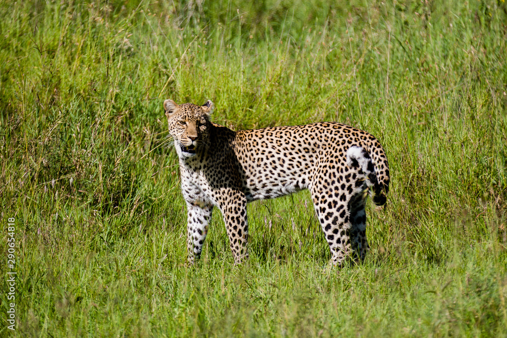 Tanzania, East Africa