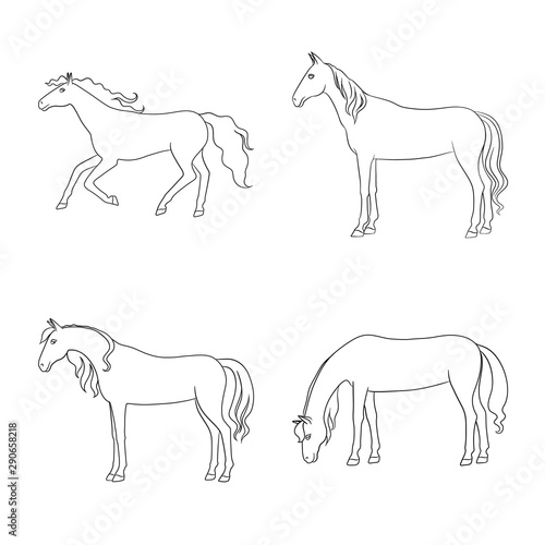 Isolated object of stallion and galloping icon. Collection of stallion and riding vector icon for stock.