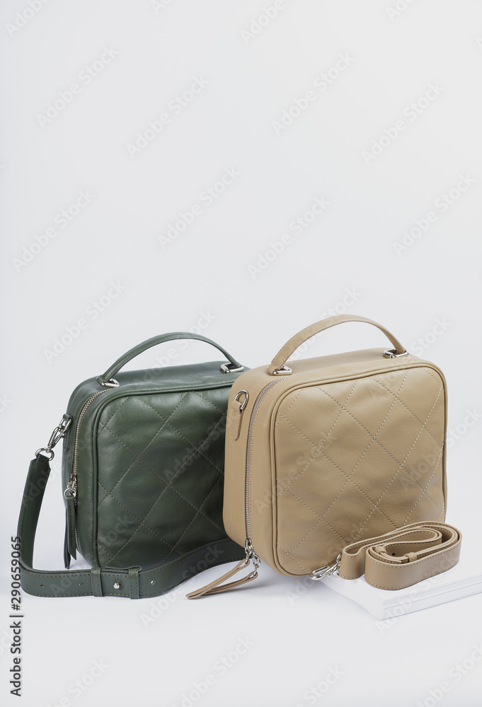 Fototapeta premium Two stylish women bags on a white background.