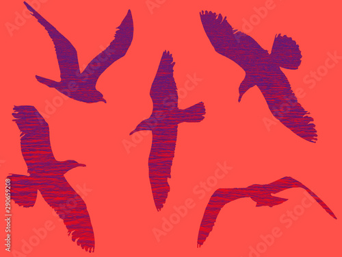 dark silhouettes of flying birds on a red background.