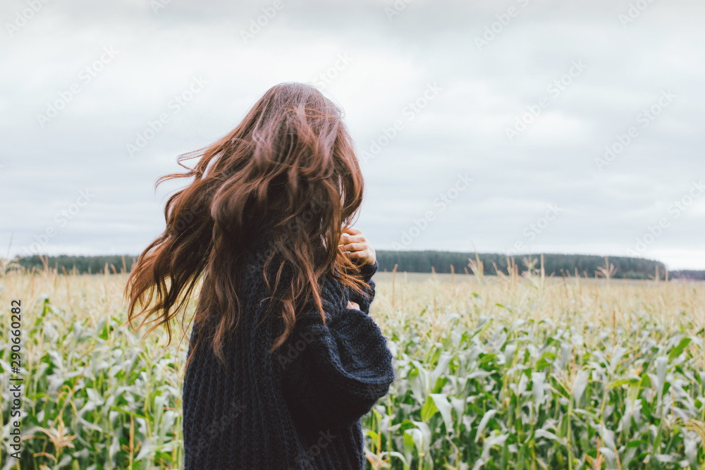 Φωτογραφία Beautiful carefree windy long hair girl in knitted sweater in the autumn corn field