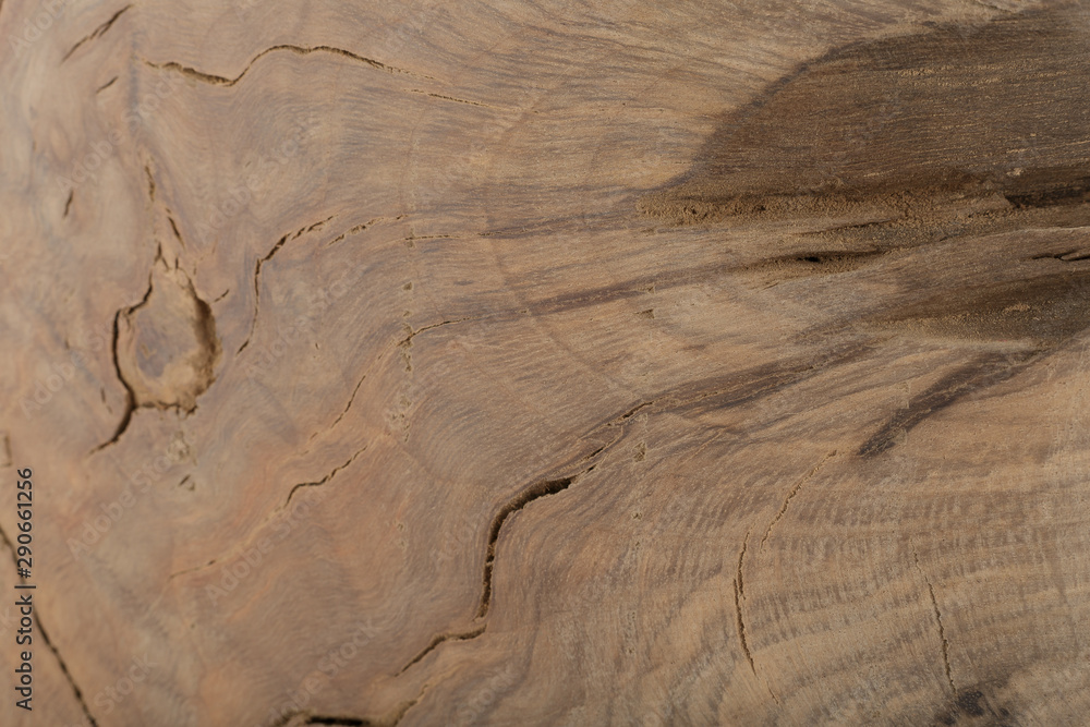 Fototapeta premium Beautiful texture of old carved stained oak.