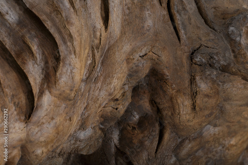 Beautiful texture of old carved stained oak.