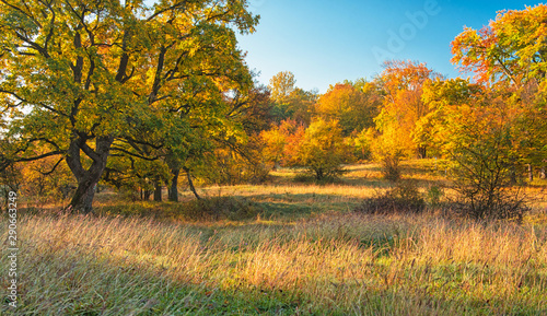 Nice autumnal scene in Hungary
