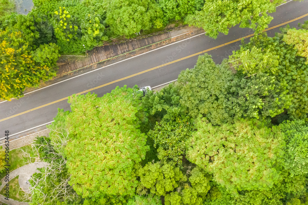 aerial view of road under forest