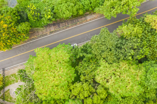 aerial view of road under forest © ChenPG