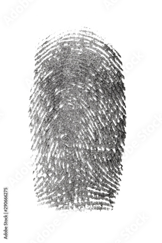 fingerprint pattern isolated on white - Image