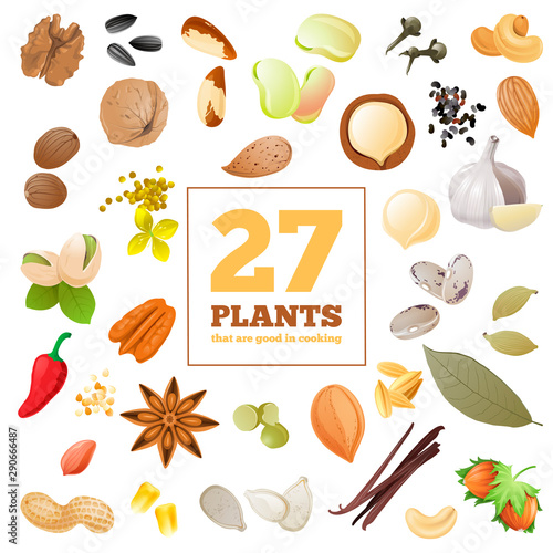 Great set of seeds, beans, nuts and spices.