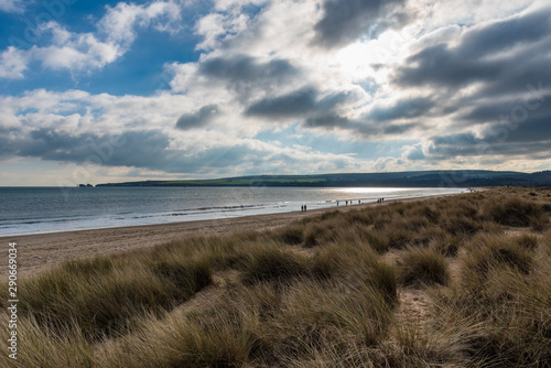 People walking the beach as long yellow grass grows on the sandy shorelines on cloudy day in England  UK.