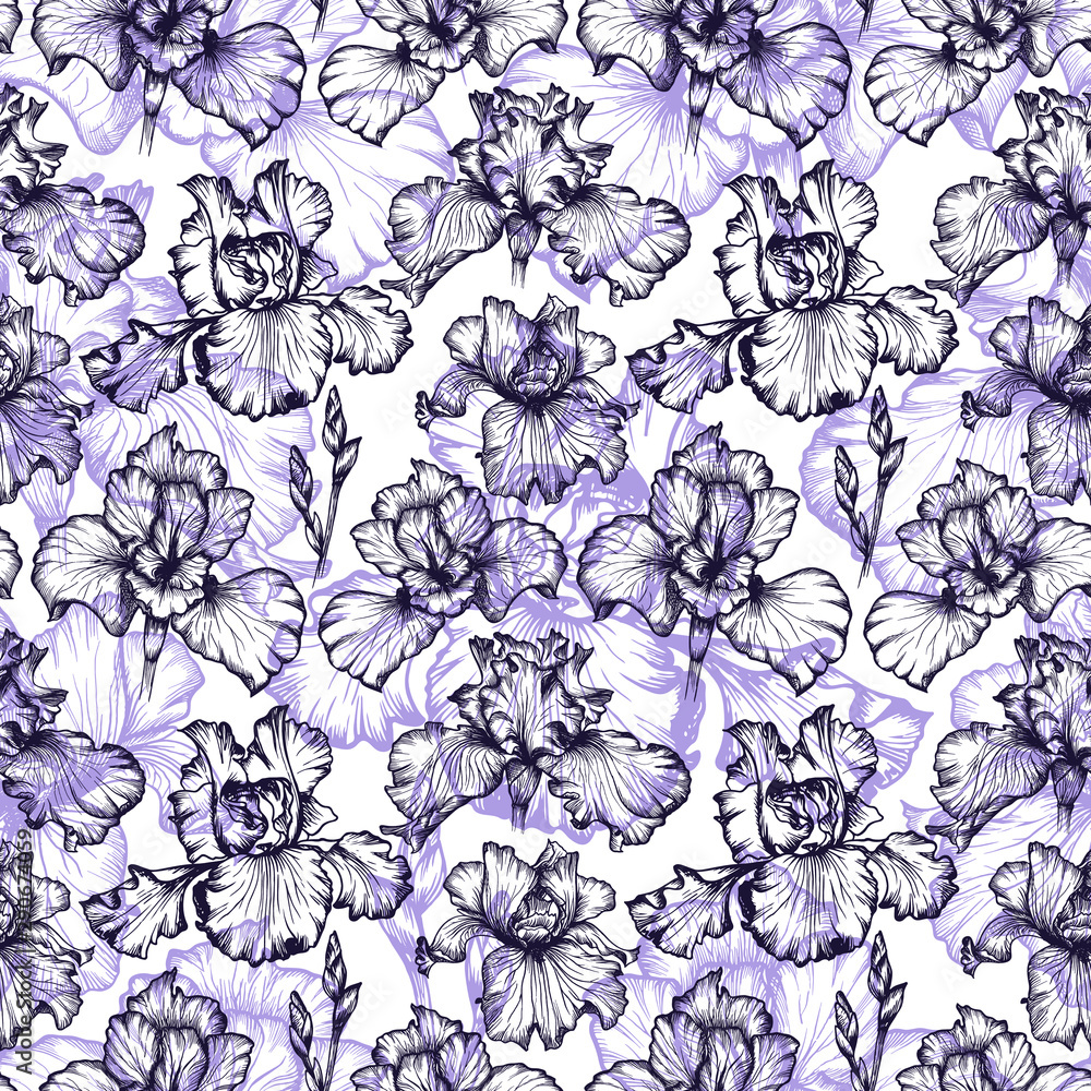 Seamles flower pattern in vector. Botanical illustration. Isolate violet iris flowers.