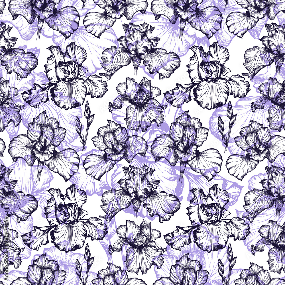 Obraz premium Seamles flower pattern in vector. Botanical illustration. Isolate violet iris flowers.