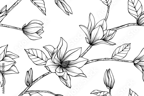 Magnolia flower and leaf drawing illustration with line art on white backgrounds.